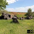 Quaderkalk Stbr. Luetzelbruch bei Lindelbach nahe Wuerzburg, Bayern, (D) - 18. Mai 2023 (6).JPG